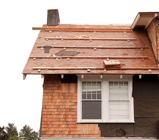 Affordable Siding Repair and Maintenance Services in South Alamo, TX